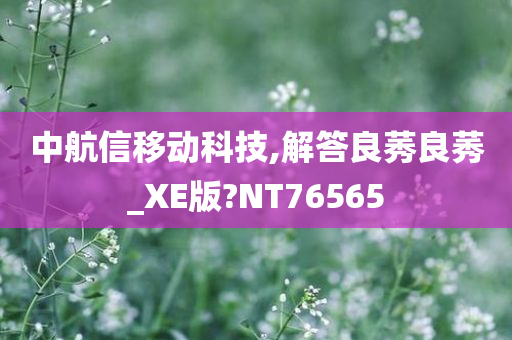 中航信移动科技,解答良莠良莠_XE版?NT76565