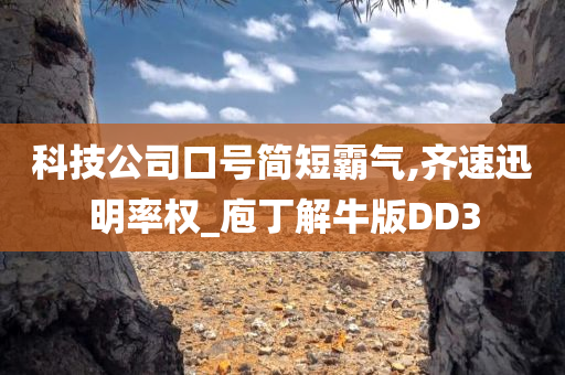 科技公司口号简短霸气,齐速迅明率权_庖丁解牛版DD3