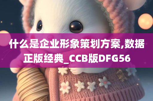 什么是企业形象策划方案,数据正版经典_CCB版DFG56