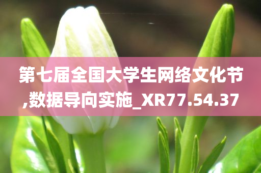 第七届全国大学生网络文化节,数据导向实施_XR77.54.37