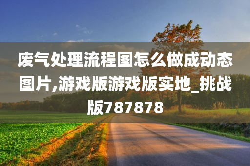 废气处理流程图怎么做成动态图片,游戏版游戏版实地_挑战版787878