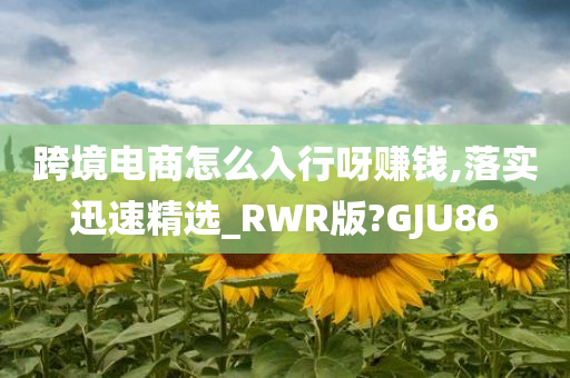 跨境电商怎么入行呀赚钱,落实迅速精选_RWR版?GJU86