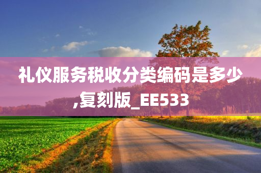 礼仪服务税收分类编码是多少,复刻版_EE533