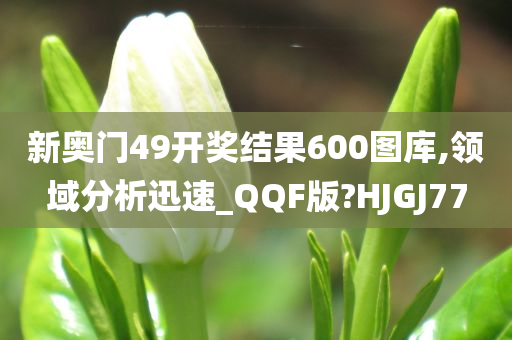 新奥门49开奖结果600图库,领域分析迅速_QQF版?HJGJ77