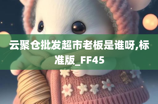 云聚仓批发超市老板是谁呀,标准版_FF45