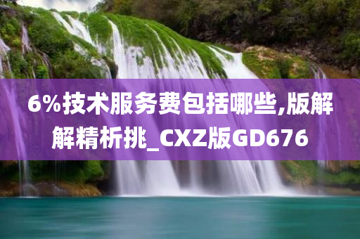 6%技术服务费包括哪些,版解解精析挑_CXZ版GD676