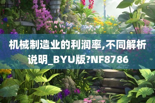 机械制造业的利润率,不同解析说明_BYU版?NF8786