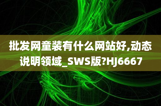 批发网童装有什么网站好,动态说明领域_SWS版?HJ6667