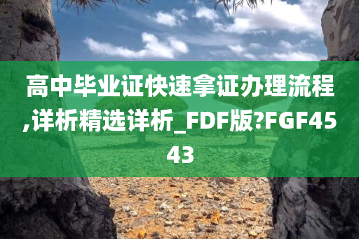 高中毕业证快速拿证办理流程,详析精选详析_FDF版?FGF4543