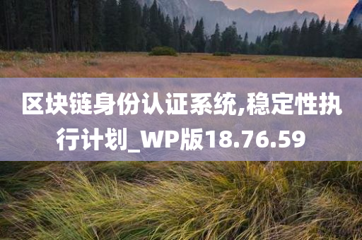 区块链身份认证系统,稳定性执行计划_WP版18.76.59