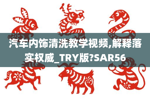 汽车内饰清洗教学视频,解释落实权威_TRY版?SAR56