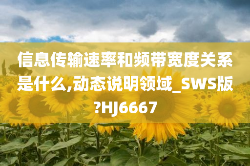 信息传输速率和频带宽度关系是什么,动态说明领域_SWS版?HJ6667