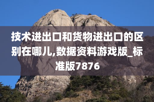 技术进出口和货物进出口的区别在哪儿,数据资料游戏版_标准版7876