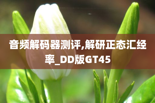 音频解码器测评,解研正态汇经率_DD版GT45