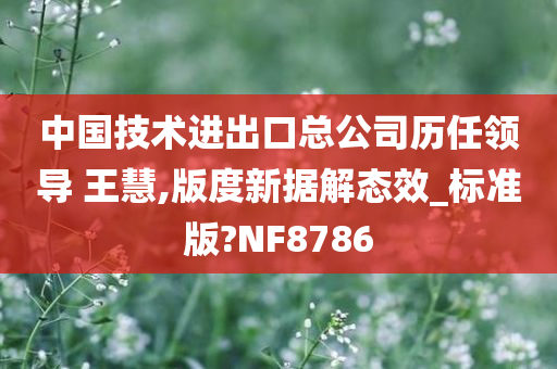 中国技术进出口总公司历任领导 王慧,版度新据解态效_标准版?NF8786