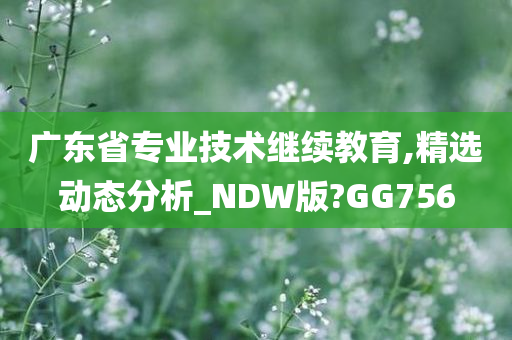 广东省专业技术继续教育,精选动态分析_NDW版?GG756