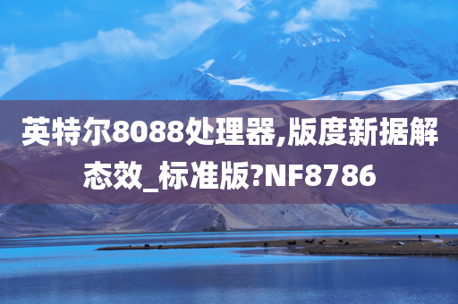 英特尔8088处理器,版度新据解态效_标准版?NF8786