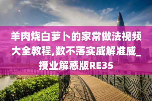 羊肉烧白萝卜的家常做法视频大全教程,数不落实威解准威_授业解惑版RE35