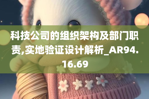 科技公司的组织架构及部门职责,实地验证设计解析_AR94.16.69