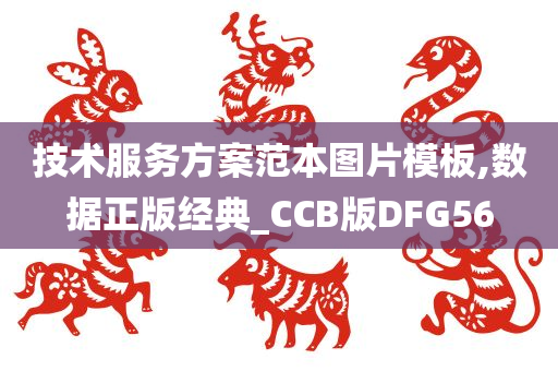 技术服务方案范本图片模板,数据正版经典_CCB版DFG56