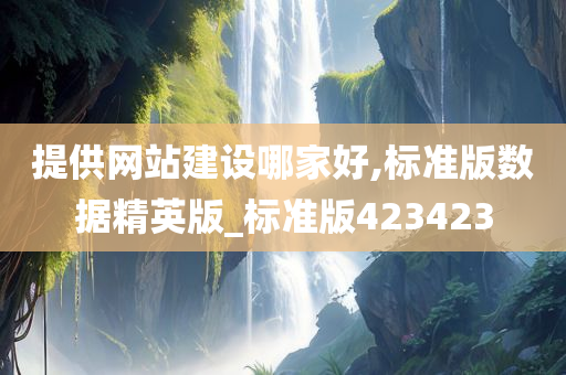 提供网站建设哪家好,标准版数据精英版_标准版423423