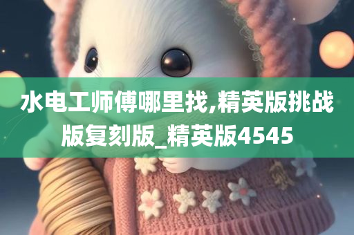 水电工师傅哪里找,精英版挑战版复刻版_精英版4545