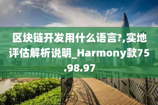 区块链开发用什么语言?,实地评估解析说明_Harmony款75.98.97