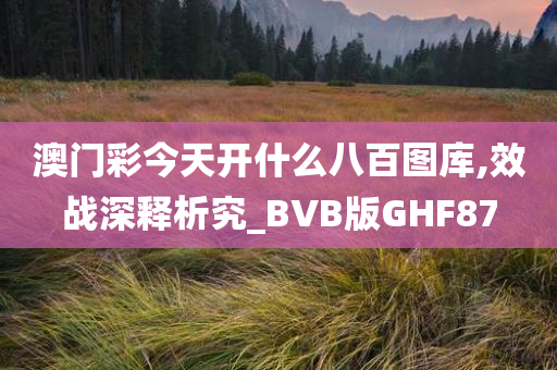 澳门彩今天开什么八百图库,效战深释析究_BVB版GHF87