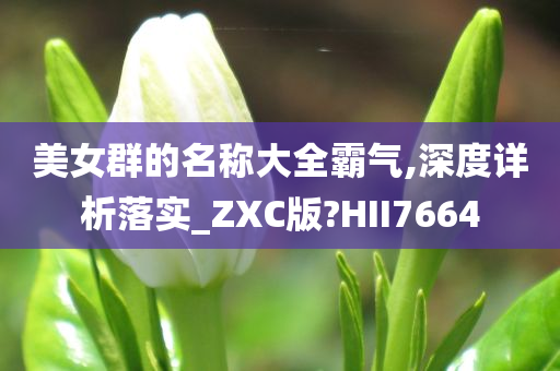 美女群的名称大全霸气,深度详析落实_ZXC版?HII7664