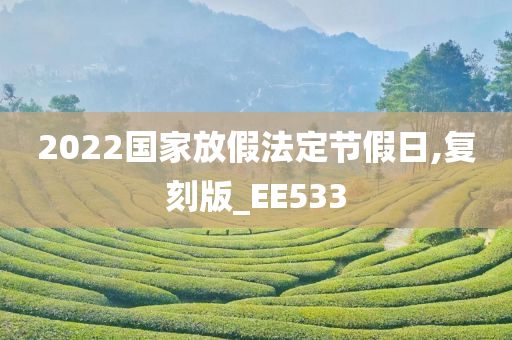 2022国家放假法定节假日,复刻版_EE533