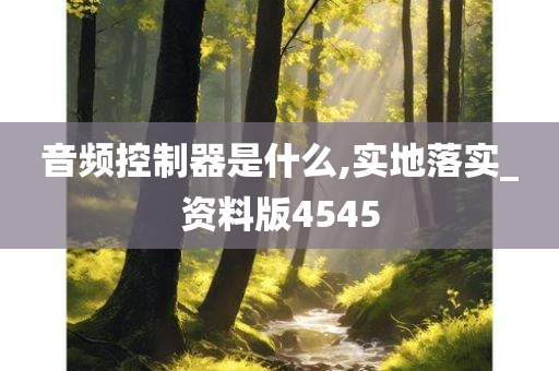 音频控制器是什么,实地落实_资料版4545