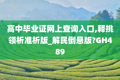 高中毕业证网上查询入口,释挑领析准析版_解民倒悬版?GH489