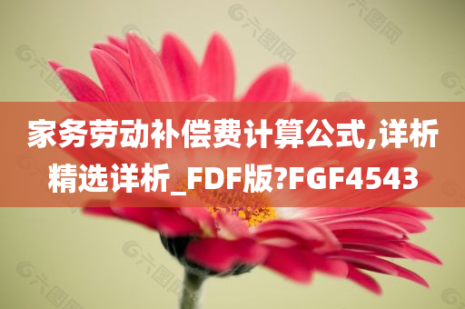 家务劳动补偿费计算公式,详析精选详析_FDF版?FGF4543