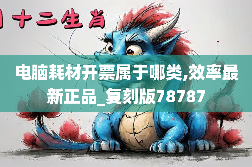 电脑耗材开票属于哪类,效率最新正品_复刻版78787