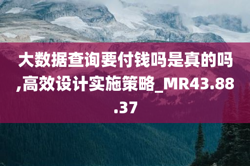 大数据查询要付钱吗是真的吗,高效设计实施策略_MR43.88.37