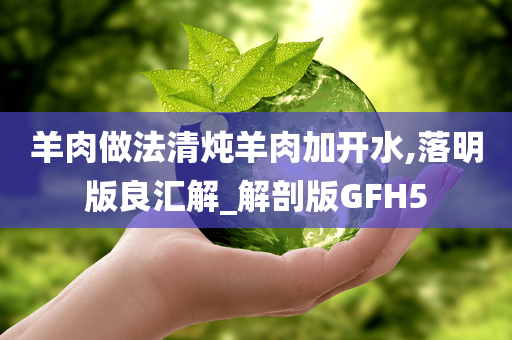 羊肉做法清炖羊肉加开水,落明版良汇解_解剖版GFH5