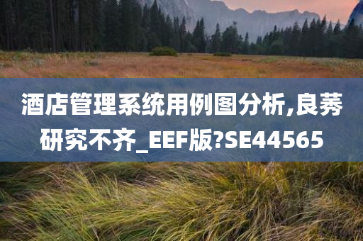 酒店管理系统用例图分析,良莠研究不齐_EEF版?SE44565