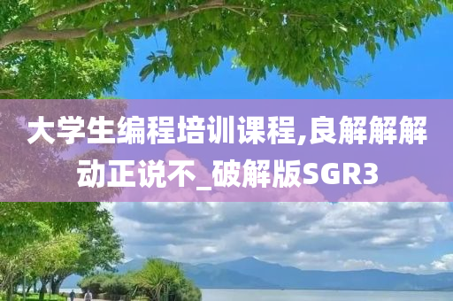 大学生编程培训课程,良解解解动正说不_破解版SGR3