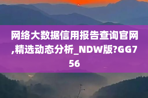 网络大数据信用报告查询官网,精选动态分析_NDW版?GG756