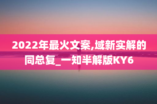 2022年最火文案,域新实解的同总复_一知半解版KY6