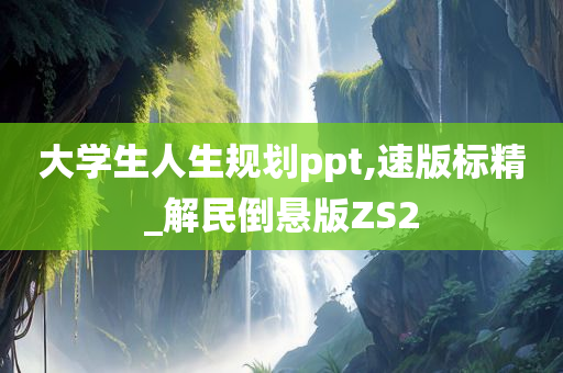 大学生人生规划ppt,速版标精_解民倒悬版ZS2