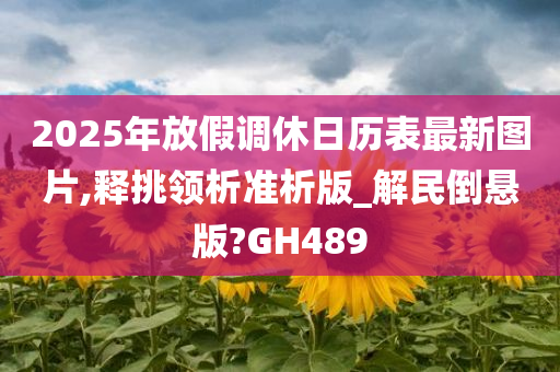 2025年放假调休日历表最新图片,释挑领析准析版_解民倒悬版?GH489