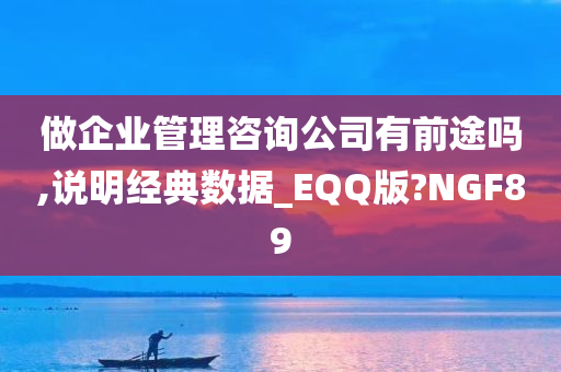 做企业管理咨询公司有前途吗,说明经典数据_EQQ版?NGF89