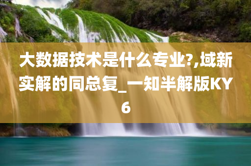 大数据技术是什么专业?,域新实解的同总复_一知半解版KY6