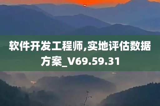 软件开发工程师,实地评估数据方案_V69.59.31