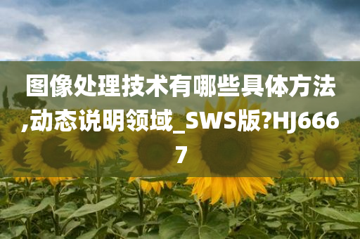 图像处理技术有哪些具体方法,动态说明领域_SWS版?HJ6667