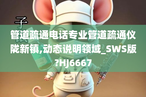 管道疏通电话专业管道疏通仪陇新镇,动态说明领域_SWS版?HJ6667