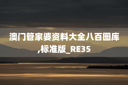 澳门管家婆资料大全八百图库,标准版_RE35