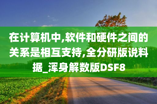 在计算机中,软件和硬件之间的关系是相互支持,全分研版说料据_浑身解数版DSF8