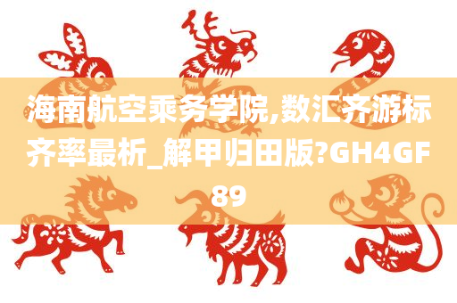 海南航空乘务学院,数汇齐游标齐率最析_解甲归田版?GH4GF89